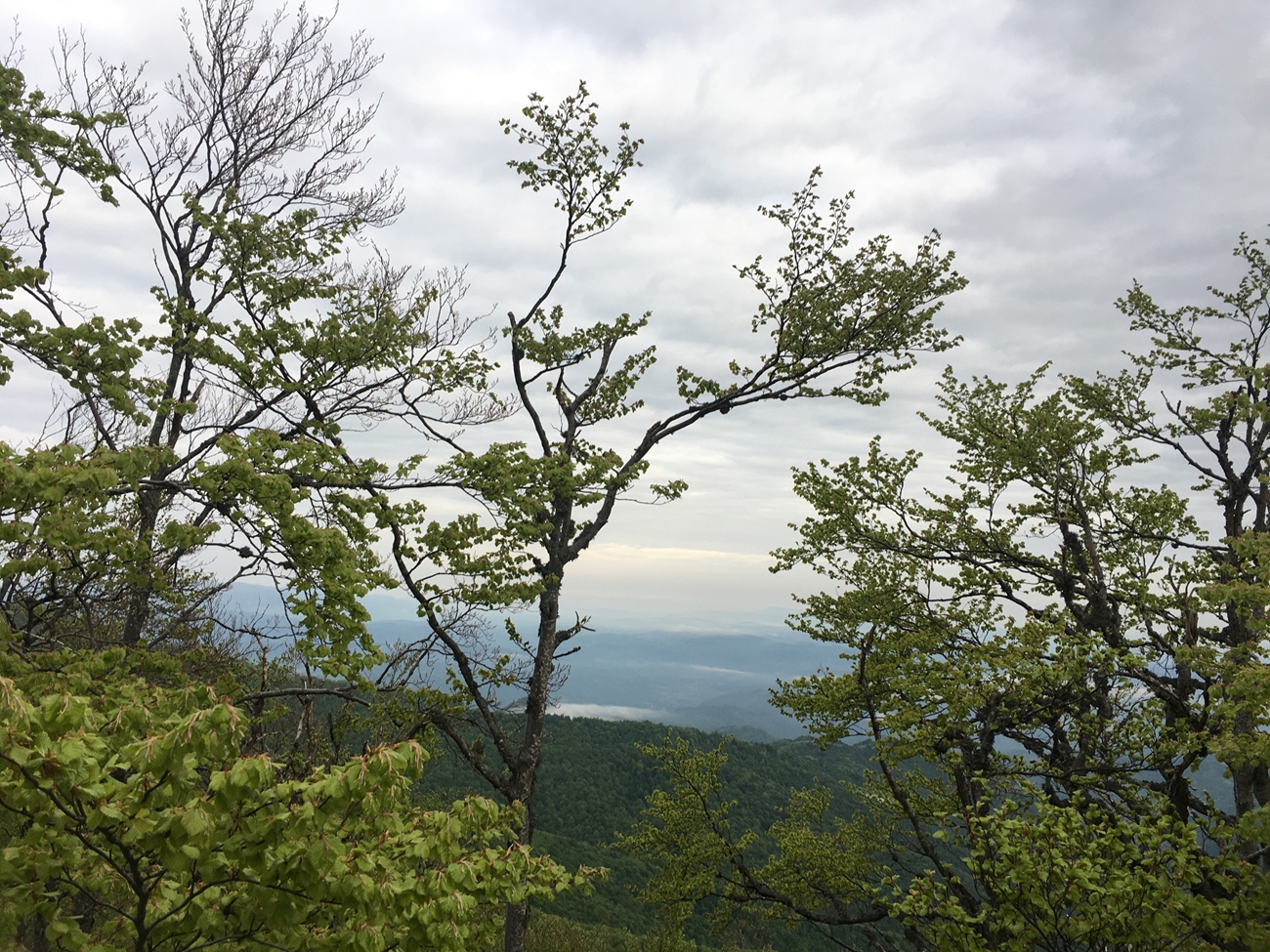 Morgenstimmung in den serbischen Bergen, ganz in der N&auml;he vom Midzor