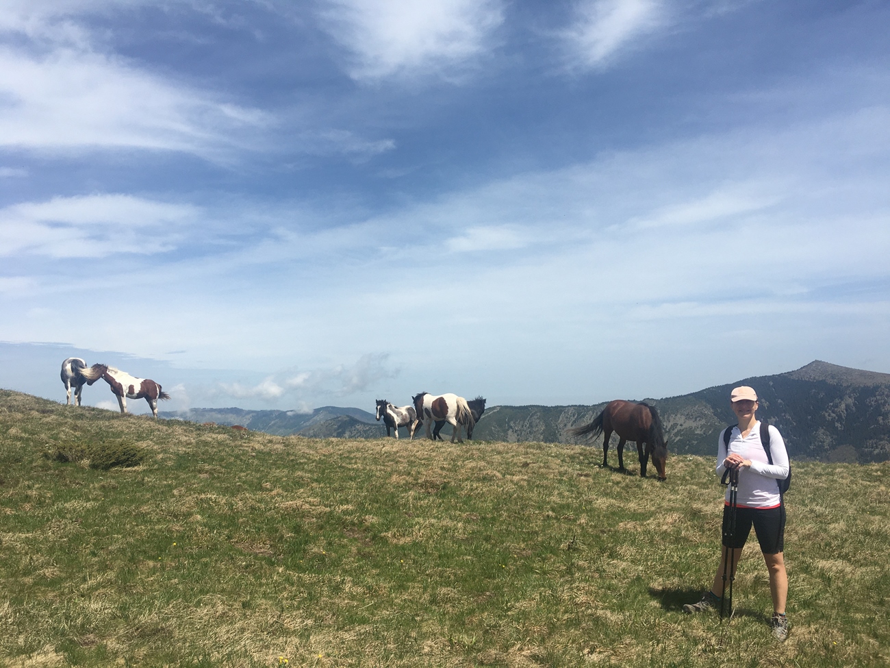 BH freut sich, die Pferde freuen sich vermutlich ebenfalls - l&auml;uft mal wieder bei uns