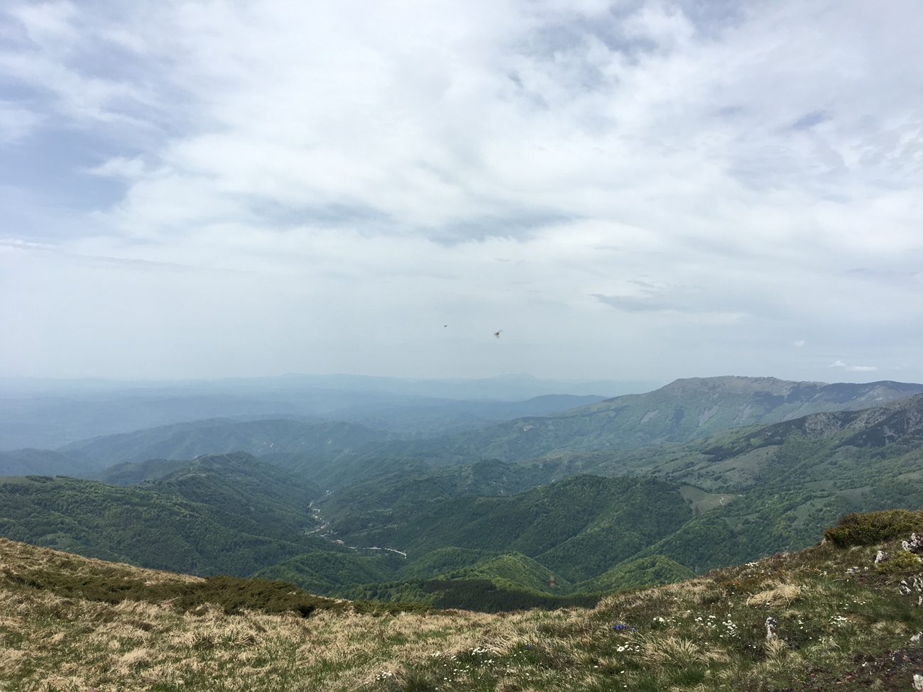 Blick vom Midzor ins Landesinnere Serbiens 