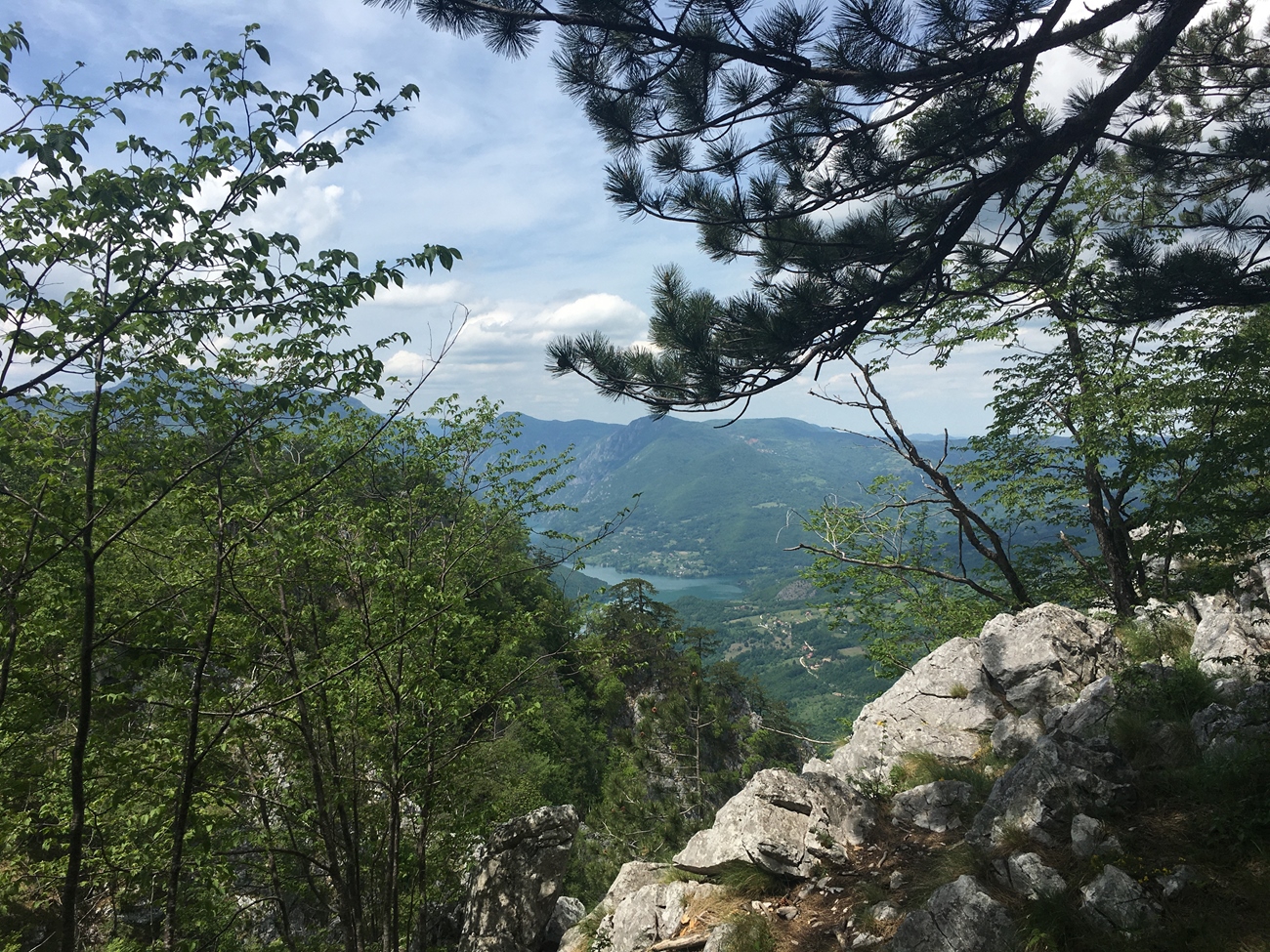 Unterwegs im Tara Nationalpark, in der N&auml;he vom Aussichtspunkt Banjska Stena
